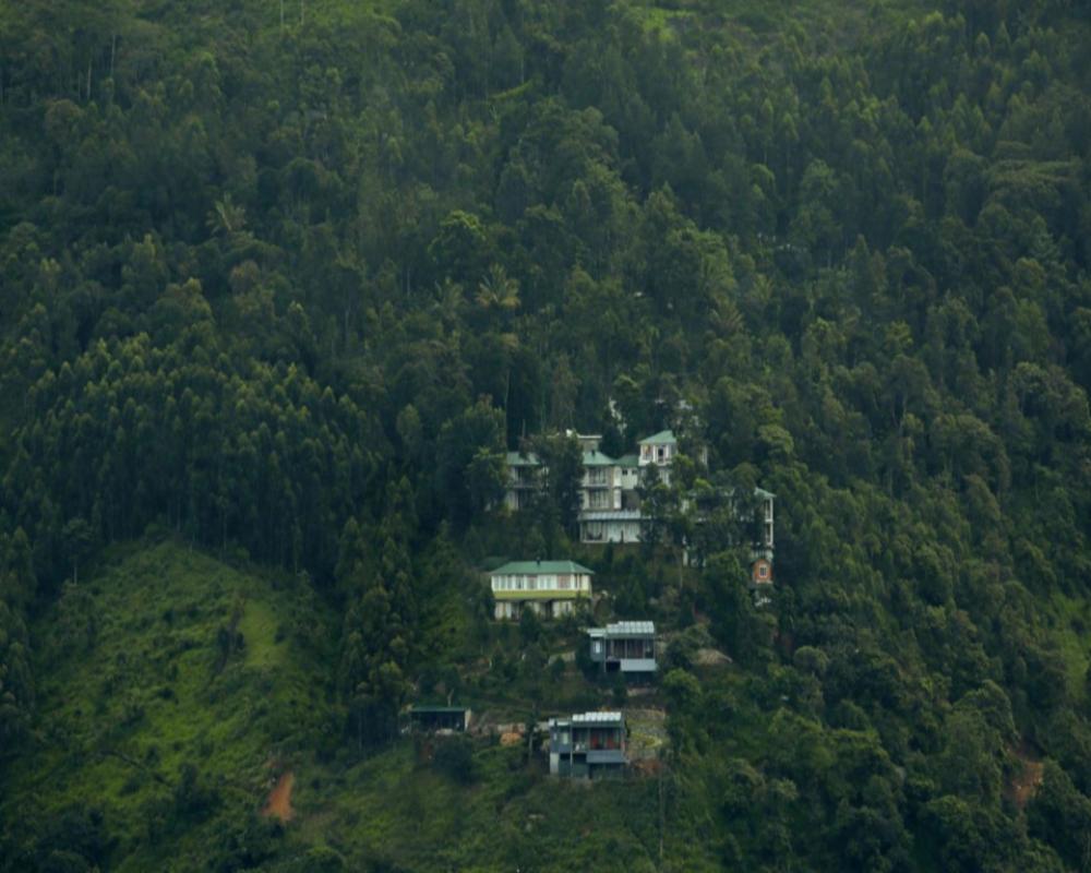 фото Spicetree Munnar