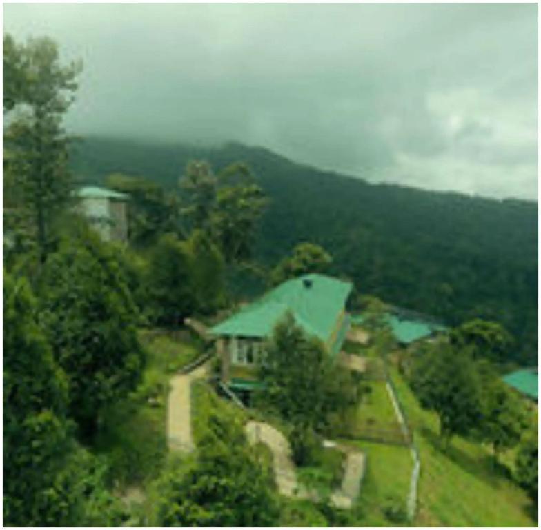 фото Spicetree Munnar