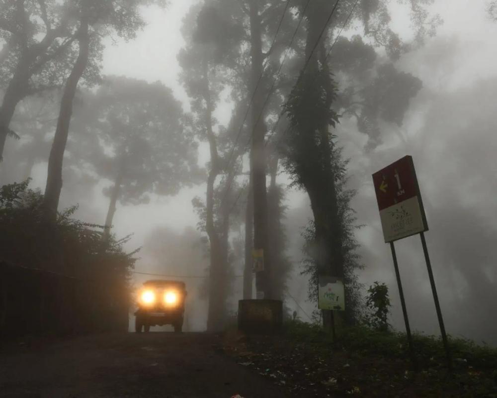 фото Spicetree Munnar