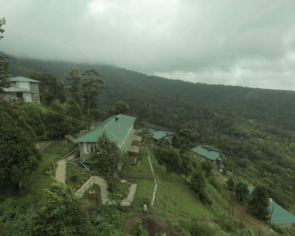 фото Spicetree Munnar