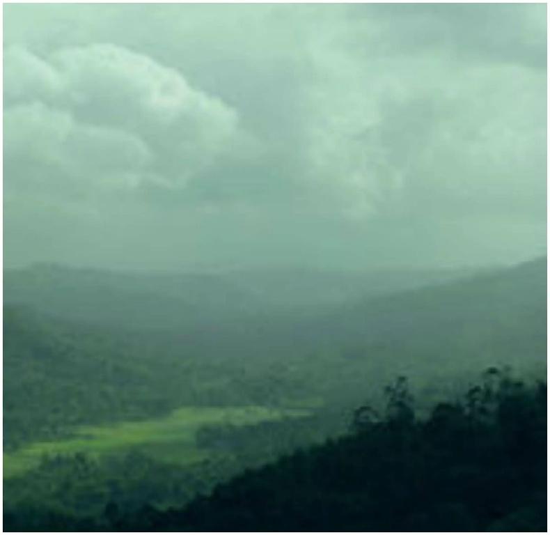 фото Spicetree Munnar