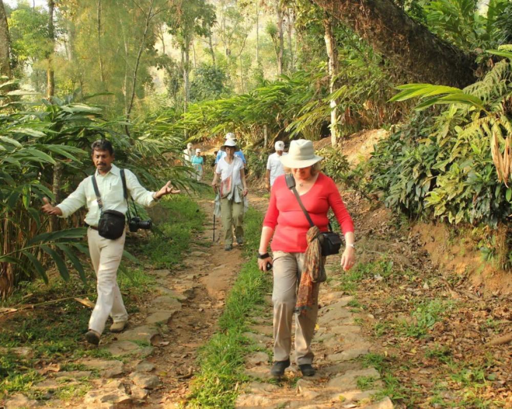 фото Spicetree Munnar