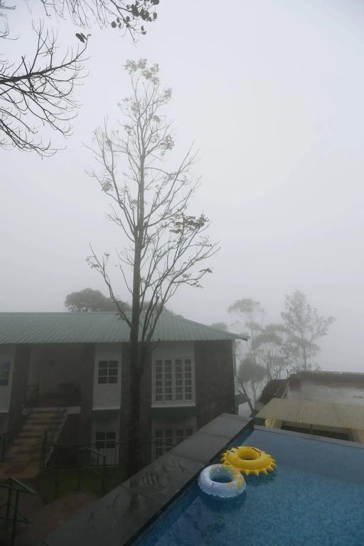 фото Spicetree Munnar