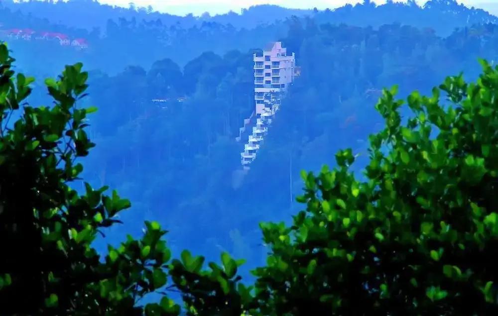 фото The View Munnar