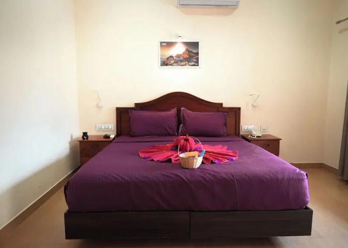AyurGem Ayurveda Yoga &  Wellness Retreat