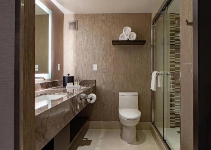 Horseshoe Black Hawk