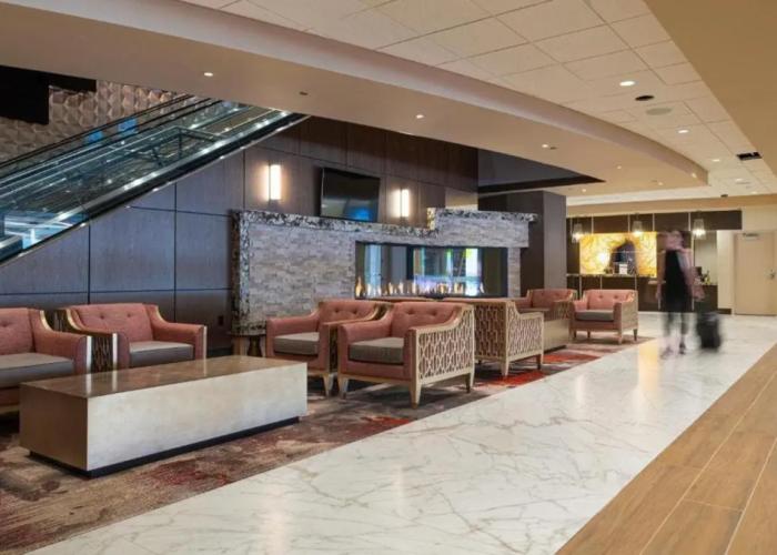 Horseshoe Black Hawk