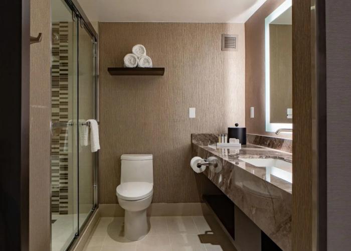 Horseshoe Black Hawk