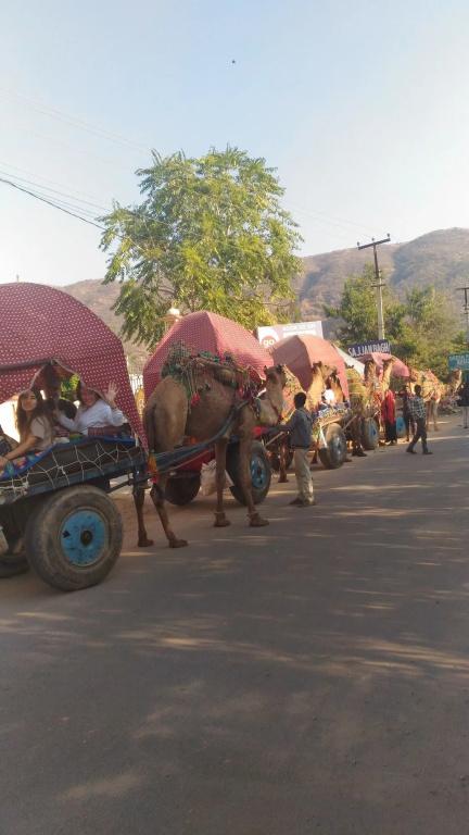фото Sajjan Bagh Resort