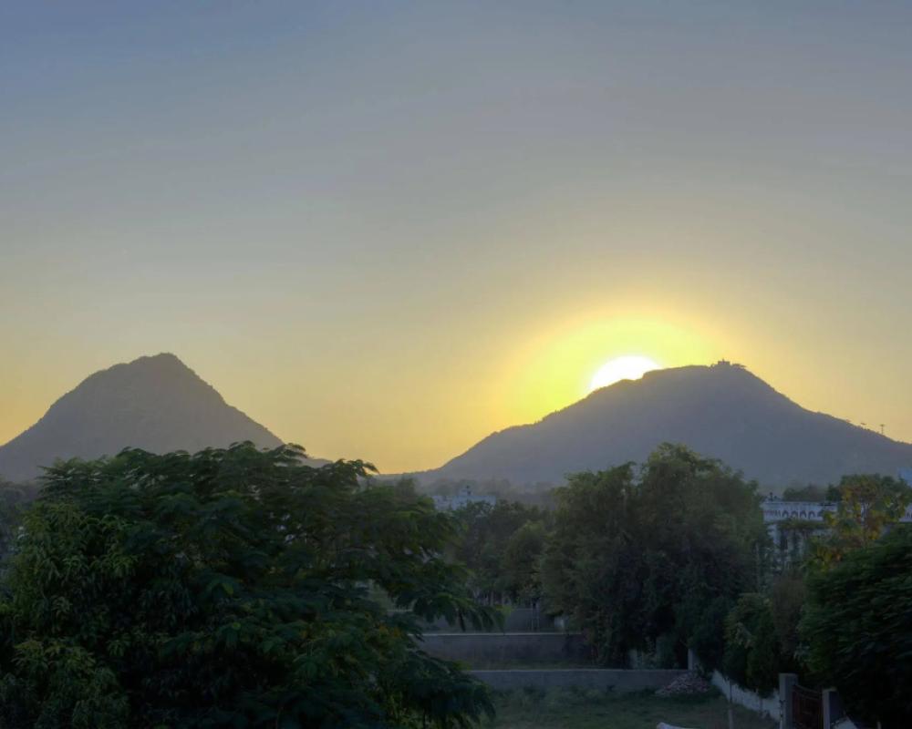 фото Hotel Pushkar Legacy