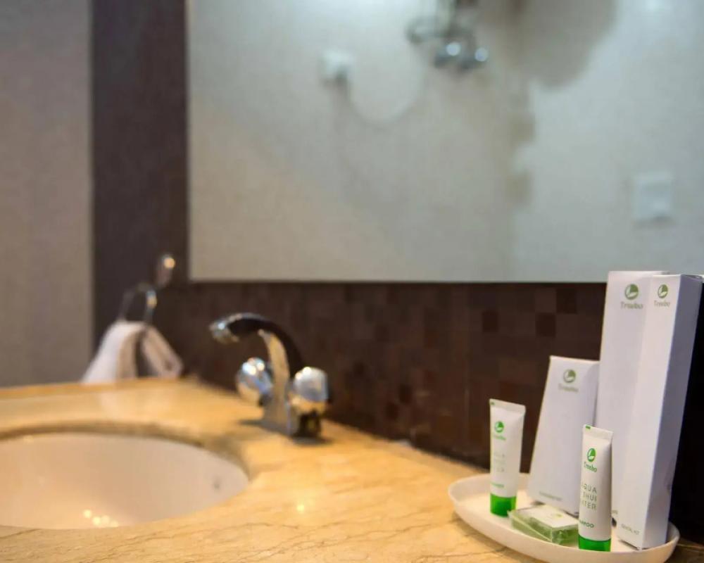 фото Hotel Pushkar Legacy