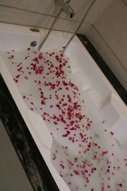 фото Brahma Horizon Hotel & Spa – Pushkar