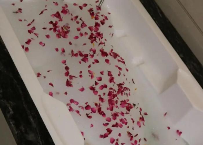 Brahma Horizon Hotel & Spa – Pushkar