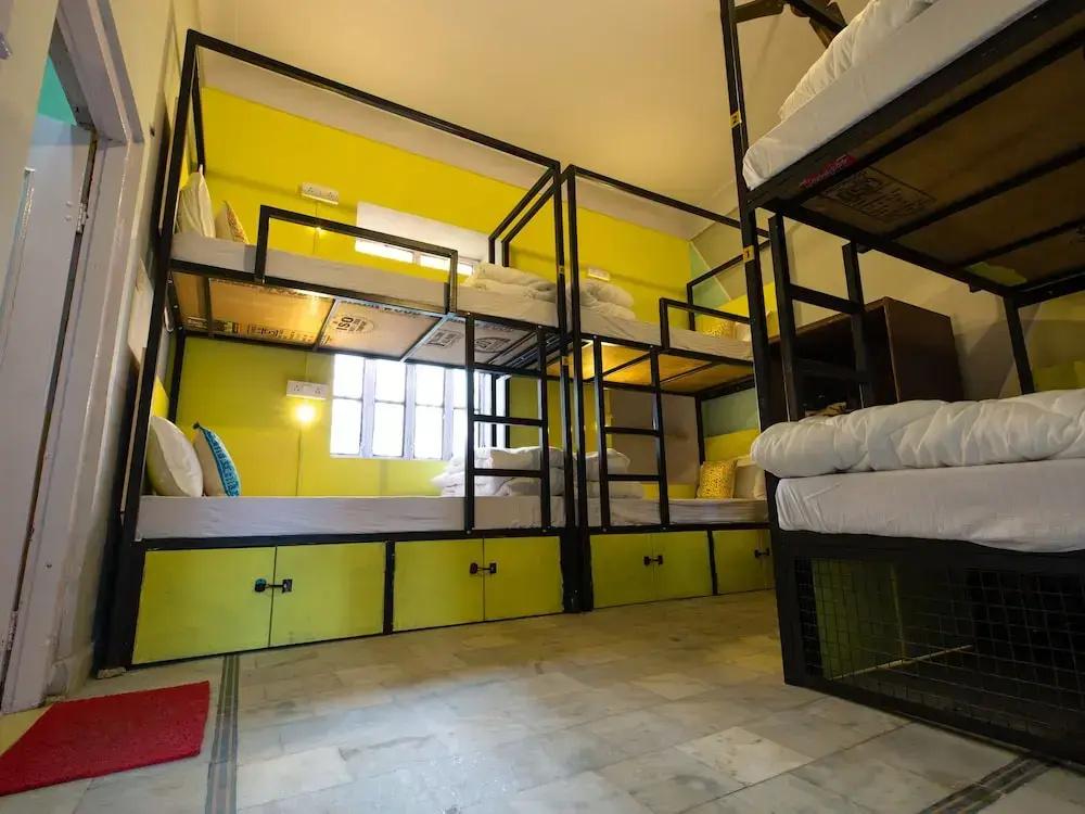 фото Moustache Pushkar - Hostel