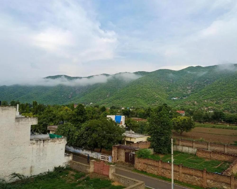 фото Hotel Vamdev Fort