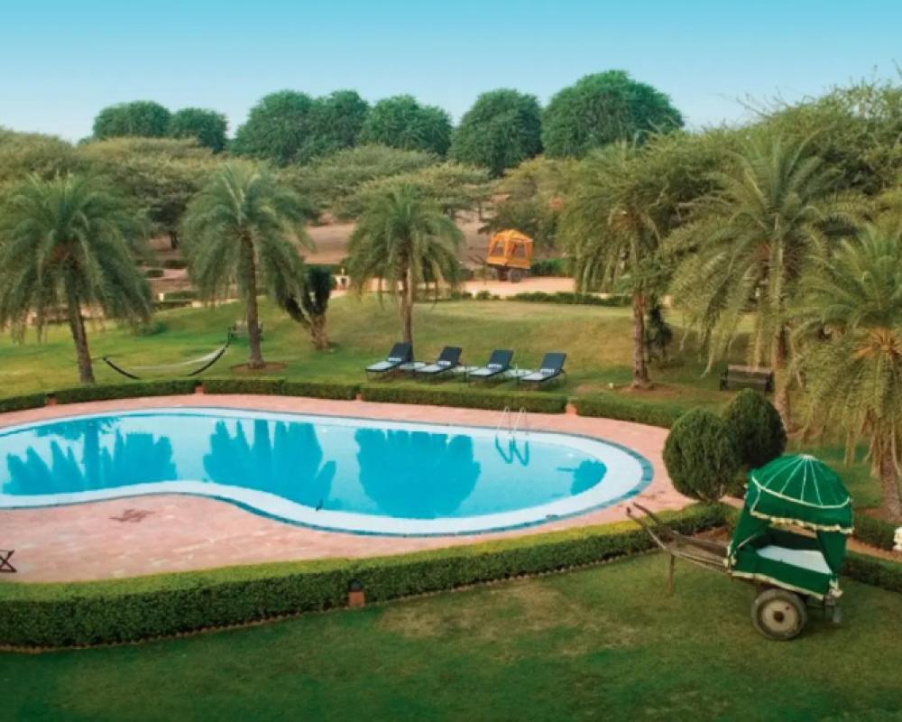фото Clarks Safari Pushkar