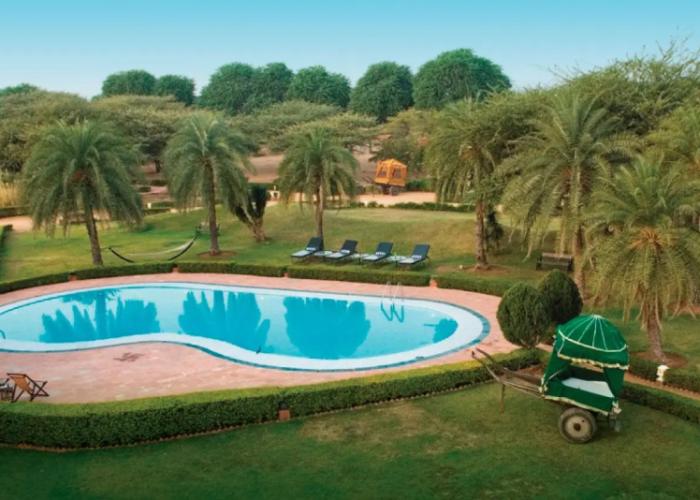 Clarks Safari Pushkar