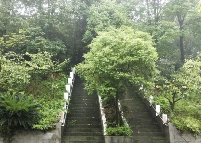 Jingheyuan Mianzhu