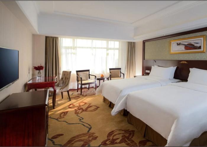 Vienna Hotel Heyuan Hongxing Road Branch