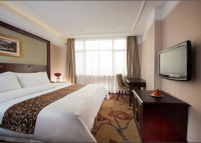 Vienna Hotel Heyuan Hongxing Road Branch