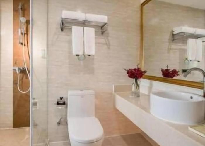 Vienna Hotel Heyuan Hongxing Road Branch