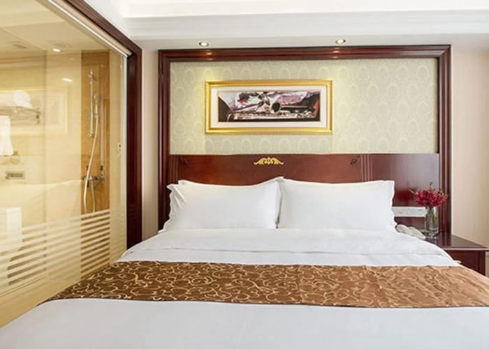 Vienna Hotel Heyuan Hongxing Road Branch