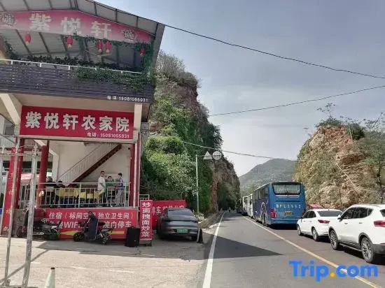 Ziyuexuan Farm Stay