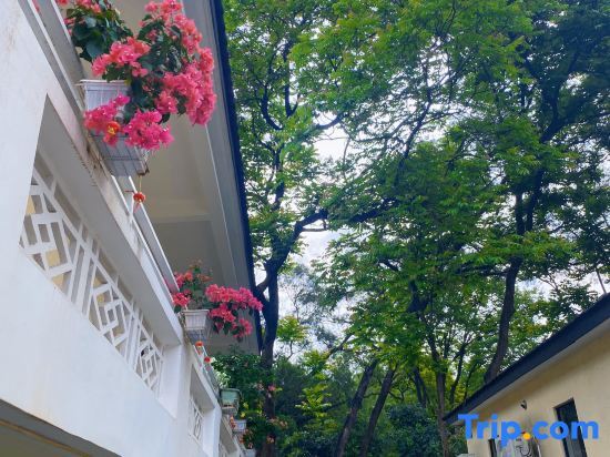 Taishan Qingyun Mountain House Homestay