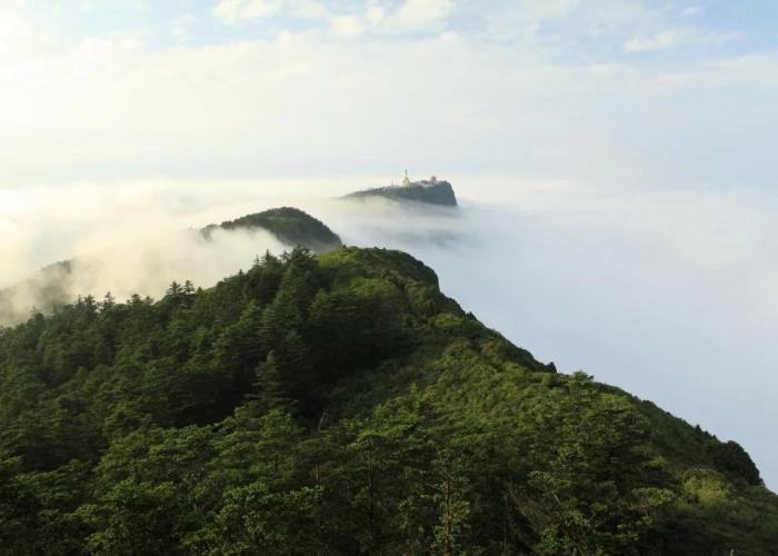 Mount Emei Feng Lin Yue Hotel
