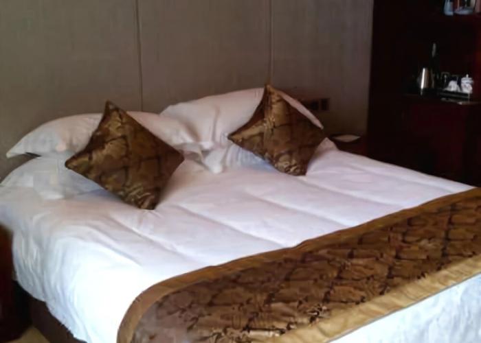 Qinglong Hotel Yichun