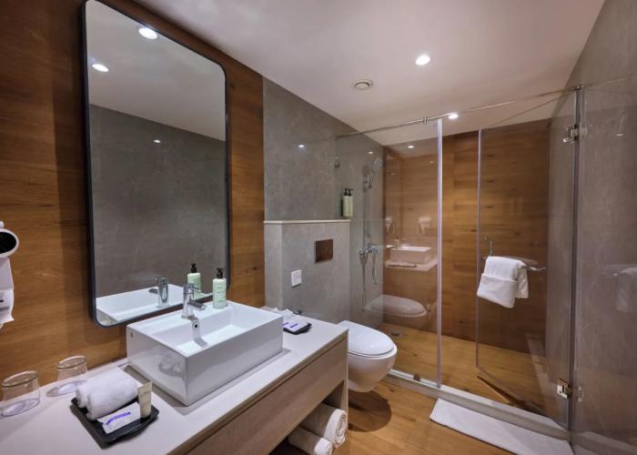 Delite Sarovar Portico Faridabad