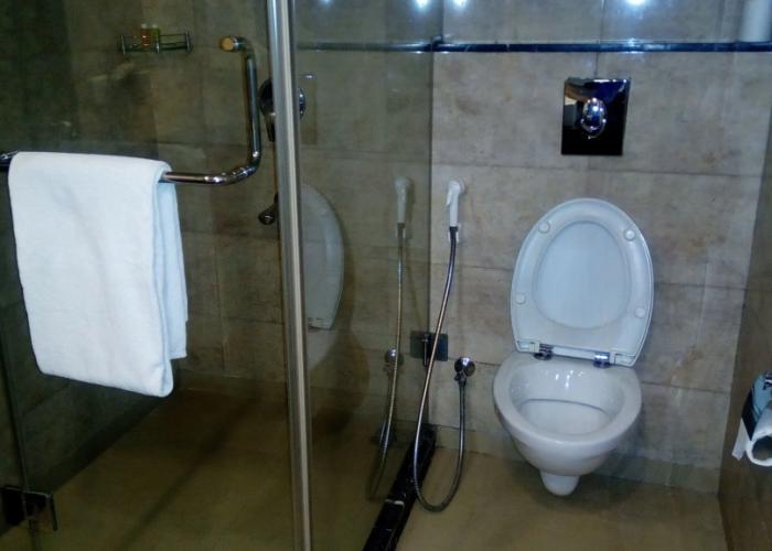 Goldfinch Hotel Delhi NCR