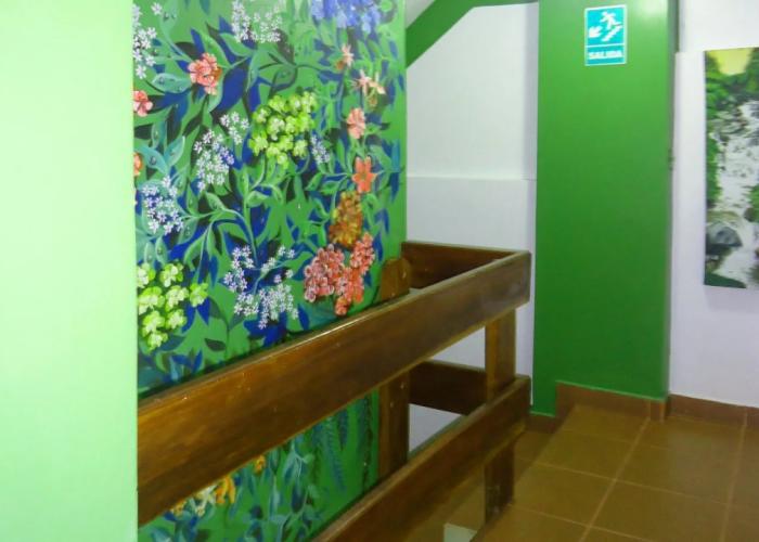 Machu Picchu Adventure House