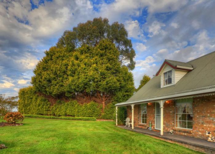 Rosebank Cottage Collection