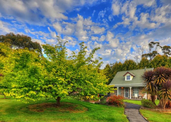 Rosebank Cottage Collection