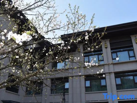 фото Zhen an Hotel