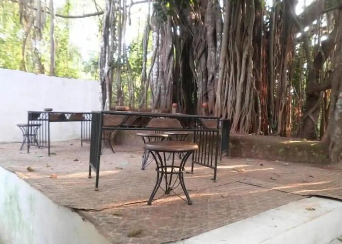 The Banyan Soul