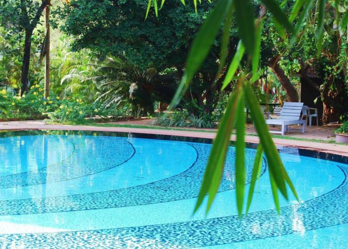 Granpa's Inn Hotel Bougainvillea
