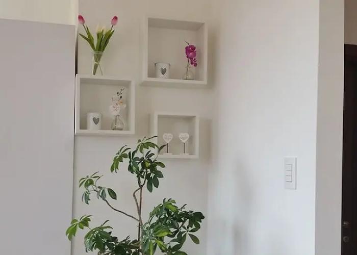 Bed and Breakfast Le Rose