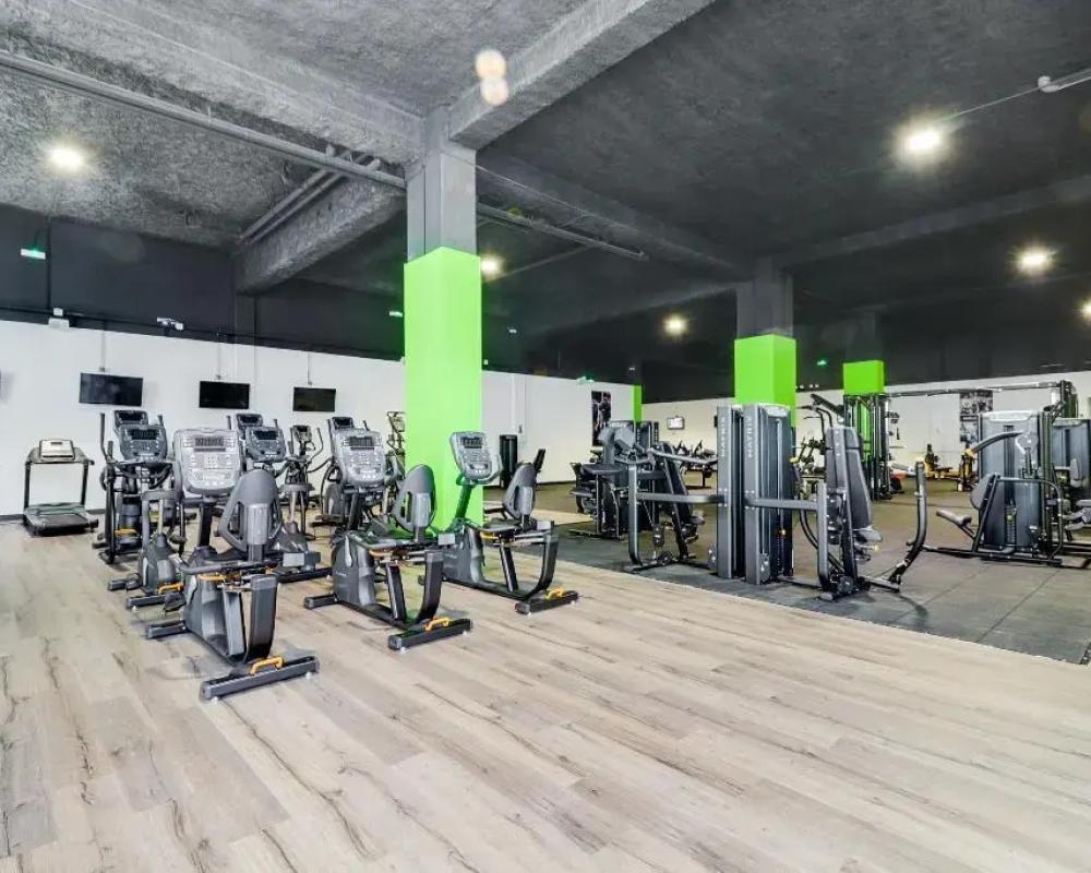фото Renaissance