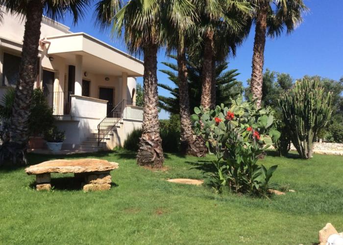Villa Narducci