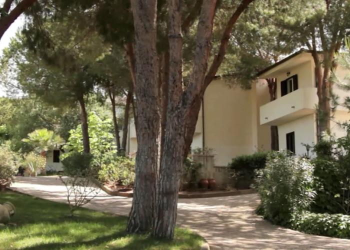 Villaggio Hotel Pineta Petto Bianco