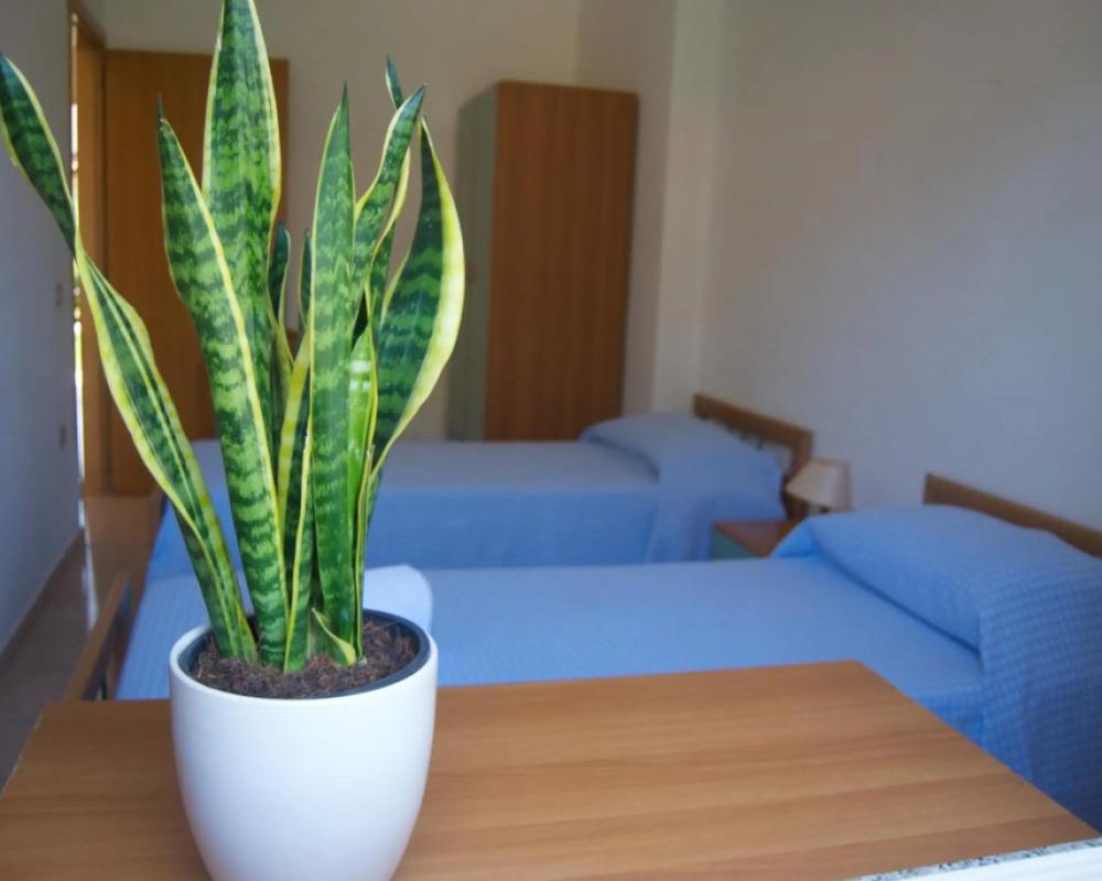 фото Hotel Residence Sciaron