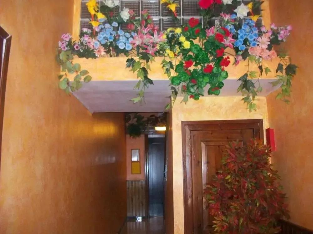 фото Hostal Can Josep