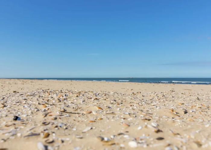 Well-kept Bungalow With Dishwasher Near the Beach