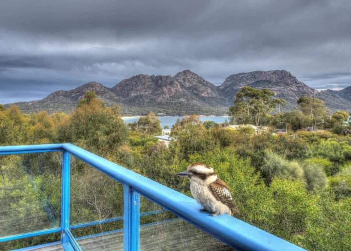 Blue Gum Retreat