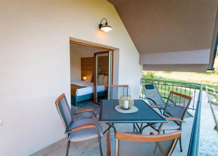 Vineyard cottage Radulja