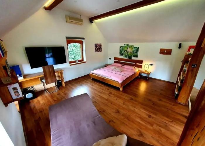 Vineyard cottage Matej