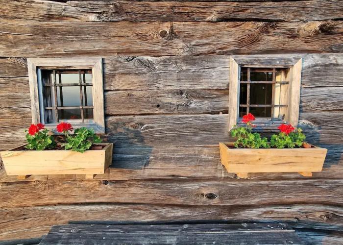 Vineyard cottage Vinska grajska kašča