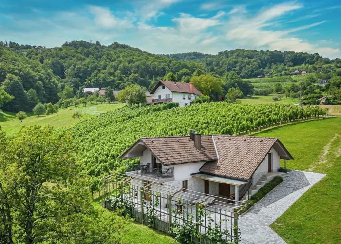 Vineyard Cottage Radovlja With Sauna